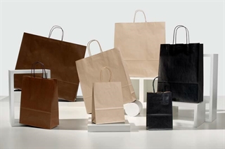 Shopper di Carta con Manico in Carta Ritorta 23x10x32 Verde Mela Confezione da 25 unità Shopper di Carta con Manico in Carta Ritorta 23x10x32 Verde Mela Confezione da 25 unità